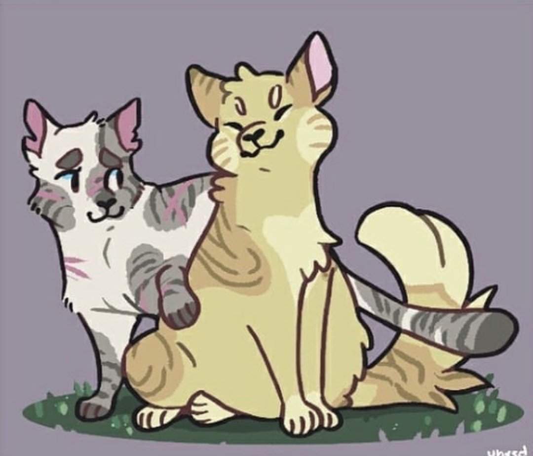 Картинки Коты Воители Пары