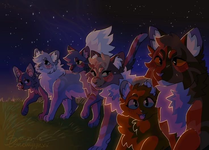 котики воины