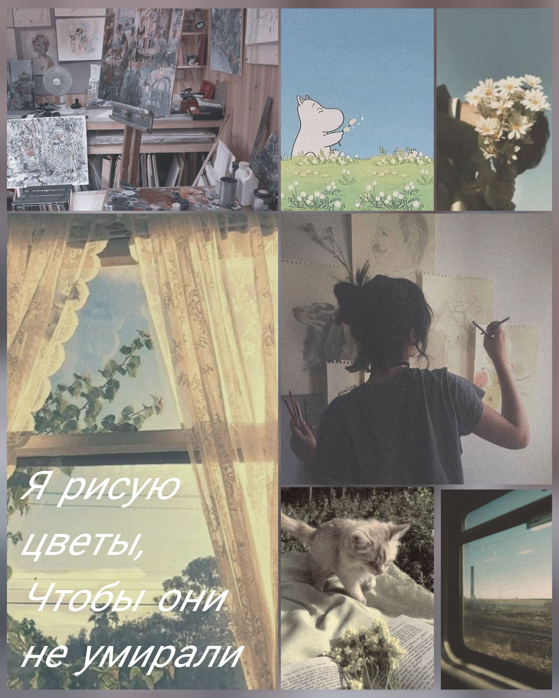 роот