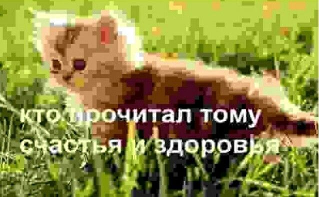 meowww