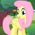 Рисунок профиля (Magic Fluttershy|Emily Meinov)