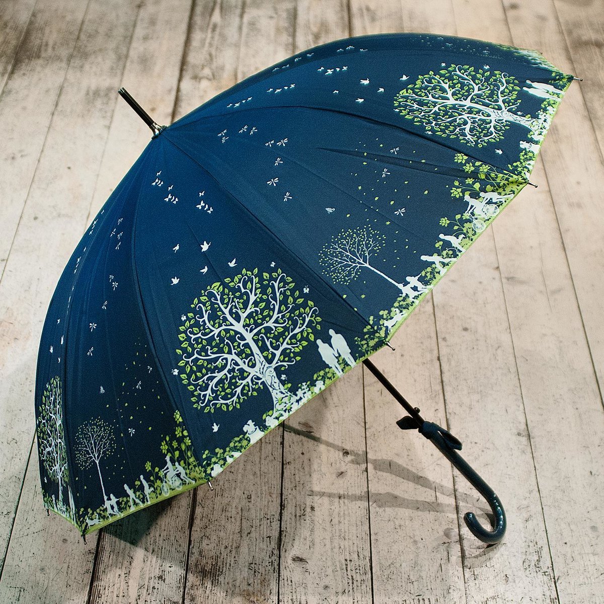 Роль зонтика. Зонтик. Красивый зонт. Необычные зонты. Зонтик с листьями.