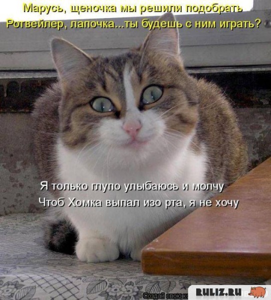 смешные животные — Трикки — тесты для девочек