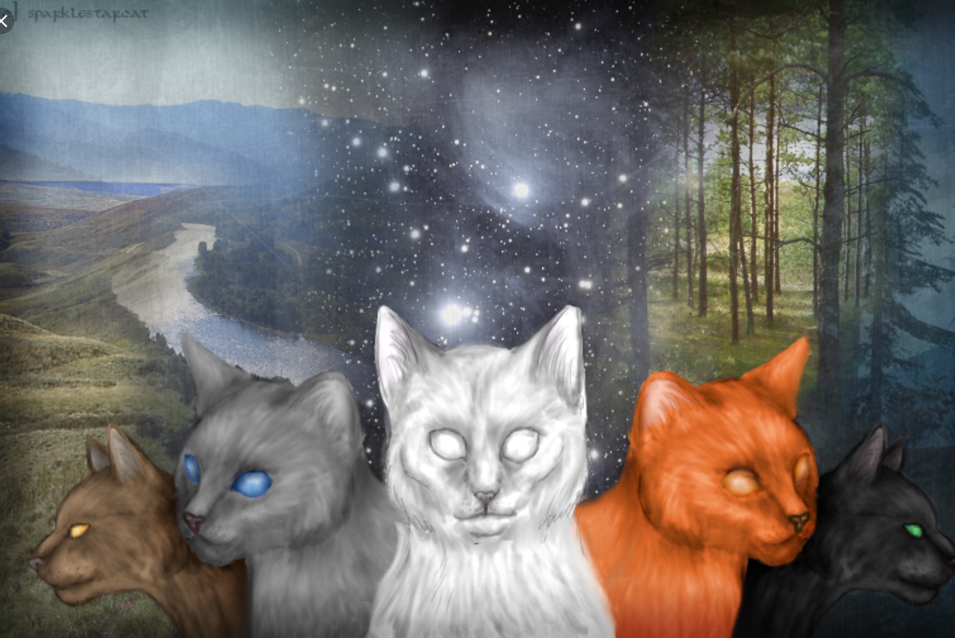 Warrior cats clans