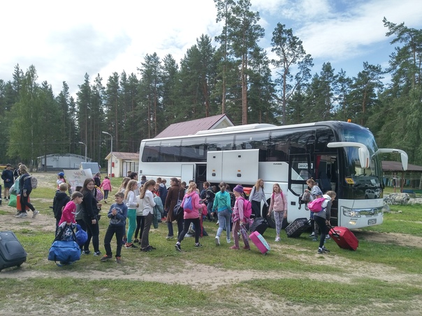 Автобус дол. Автобус в лагерь. Автобус в детский лагерь. Лагерный автобус. Автобус из лагеря.