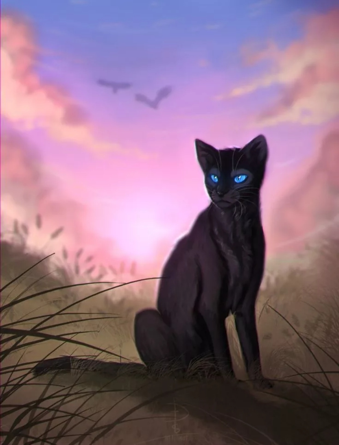 Найди Грача (тест на удачу) — Трикки — тесты для девочек