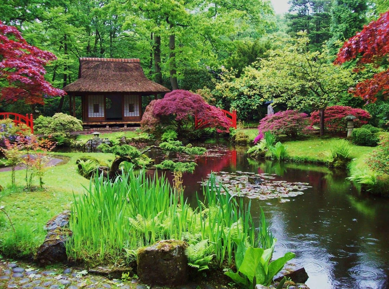 Японский сад - это неотъемлемая часть японской жизни и культуры в частности...