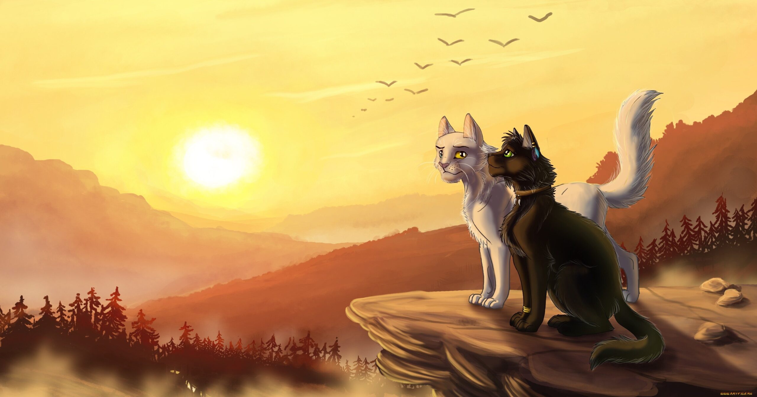 Коты Воители арт на закате