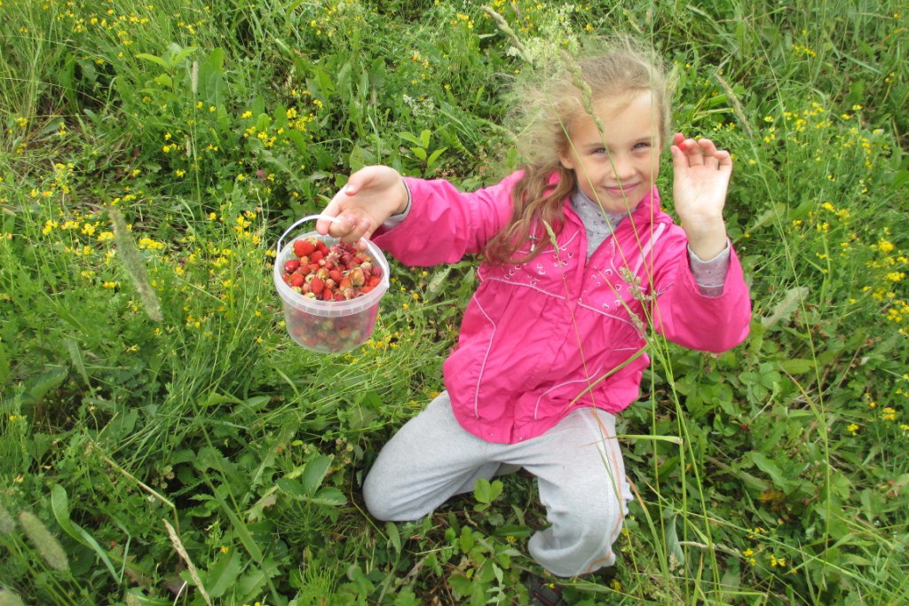 Девочка в лесу собирала грибы. Собирать ягоды. Дети собирают ягоды. Девочка в лесу собирает ягоды. Девушка собирает ягоды в лесу.