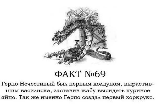 Факты про Гарри Поттера — Трикки — тесты для девочек