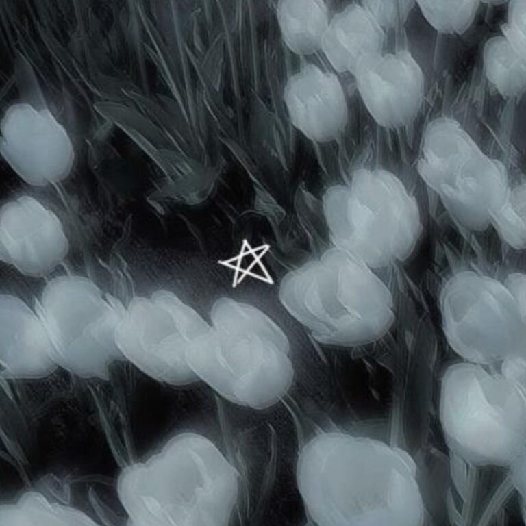 ✧・゚: *✧・゚:*оцени стили, а я тебе факты + словесная эстетика*:・゚✧*:・゚✧ лого