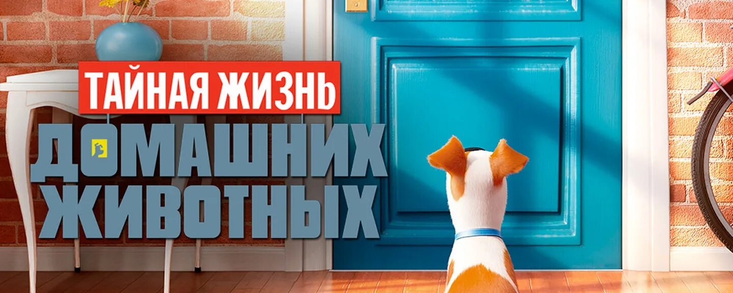 Локации