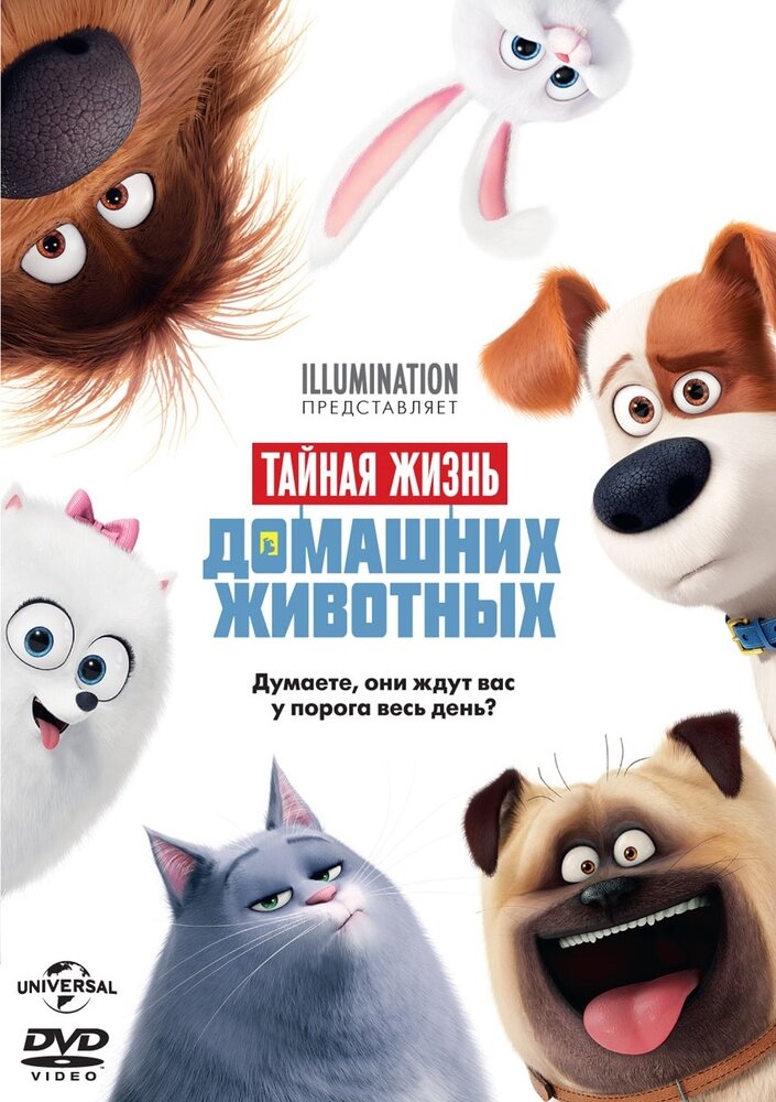 Добро пожаловать