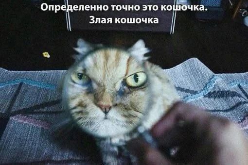 https://trikky.ru/wp-content/blogs.dir/1/files/2026/08/04/img-20260804-113515-099.jpg