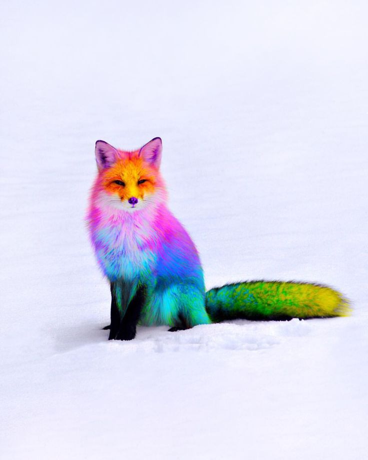 лого