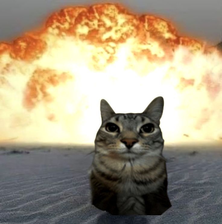 лого