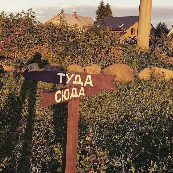 жизненно или нежизненно? лого