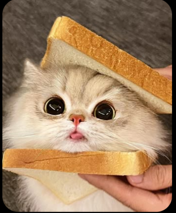 лого