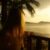 una ⋆౨ৎ˚