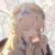 ⸝⸝ sanemo