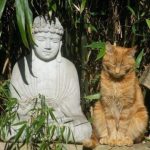 Картинка для кэээ