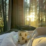 Картинка для Чаща⋆°˖ ～ 🌿࿔ ฅ