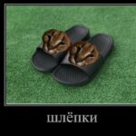 Картинка для шлепанец.