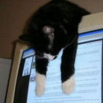 Аватар (⠀⠀⠀⠀⠀⠀)