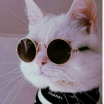 Аватар (Тень в калошах и с зонтиком)