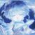 𝑳𝒊𝒍𝒚 𝒐𝒇 𝒕𝒉𝒆 𝒗𝒂𝒍𝒍𝒆𝒚 ❀𝑳𝒊𝒔𝒔𝒂 #мяу