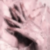 //Ⲣⲩⲕи Ⲙⲉ̈ⲣ3ⲎⲩⲦ// ❀ 𝓵𝓲𝓼𝓼𝓪