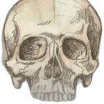 Аватар (Я ем собачий корм)