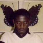 Картинка для гражданин дино