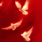 Аватар (Свободная птица~~~)