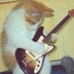 Аватар (Symphony 🐬)