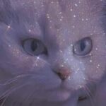 Картинка для Зимняя Котя