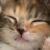Зимняя Котя#мяу