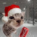 Аватар (🖤Masha_Star🥀)