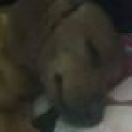 Аватар (Что дальше?)