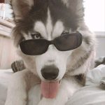 Аватар (╱╲💉Нᥲρκ᧐ɜ💉╱╲)