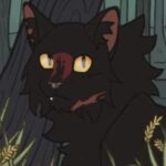 Аватар (Волкозвезд)