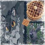 Аватар (⋆. листолапка 𐙚 ˚)