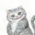 Cheshire Cat