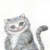 Cheshire Cat
