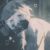 𓂃 ࣪ ˖ 𖦹 𝚑𝚞𝚖𝚖𝚒𝚗𝚐𝚋𝚒𝚛𝚍 𖦹 ࣪ ˖ 𓂃 ࣪