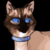•|Twilight_Star_Warrior_Cats|•