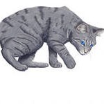 Картинка для Кошка Воительница