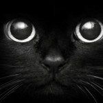 Картинка для Black Cat