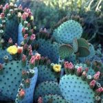 Аватар (sonia5kulish)