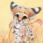 Аватар (Serval)